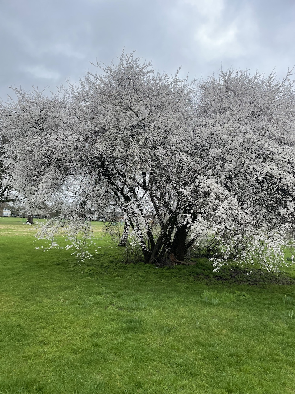 The Earth – A Unique Office of Nature’s&nbsp;Artistry