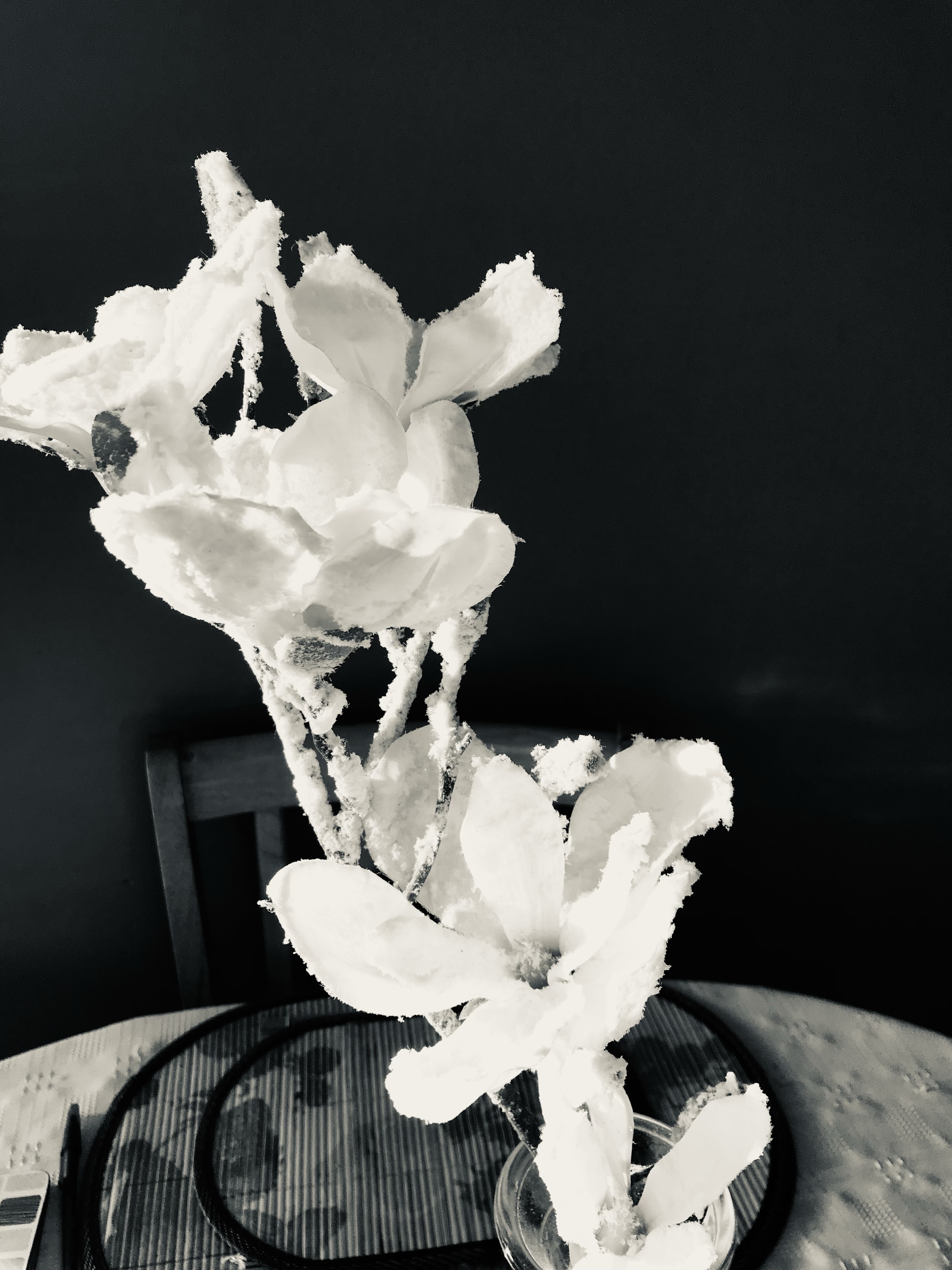 Reflections on Valentine’s Day: A World Lacking in Love