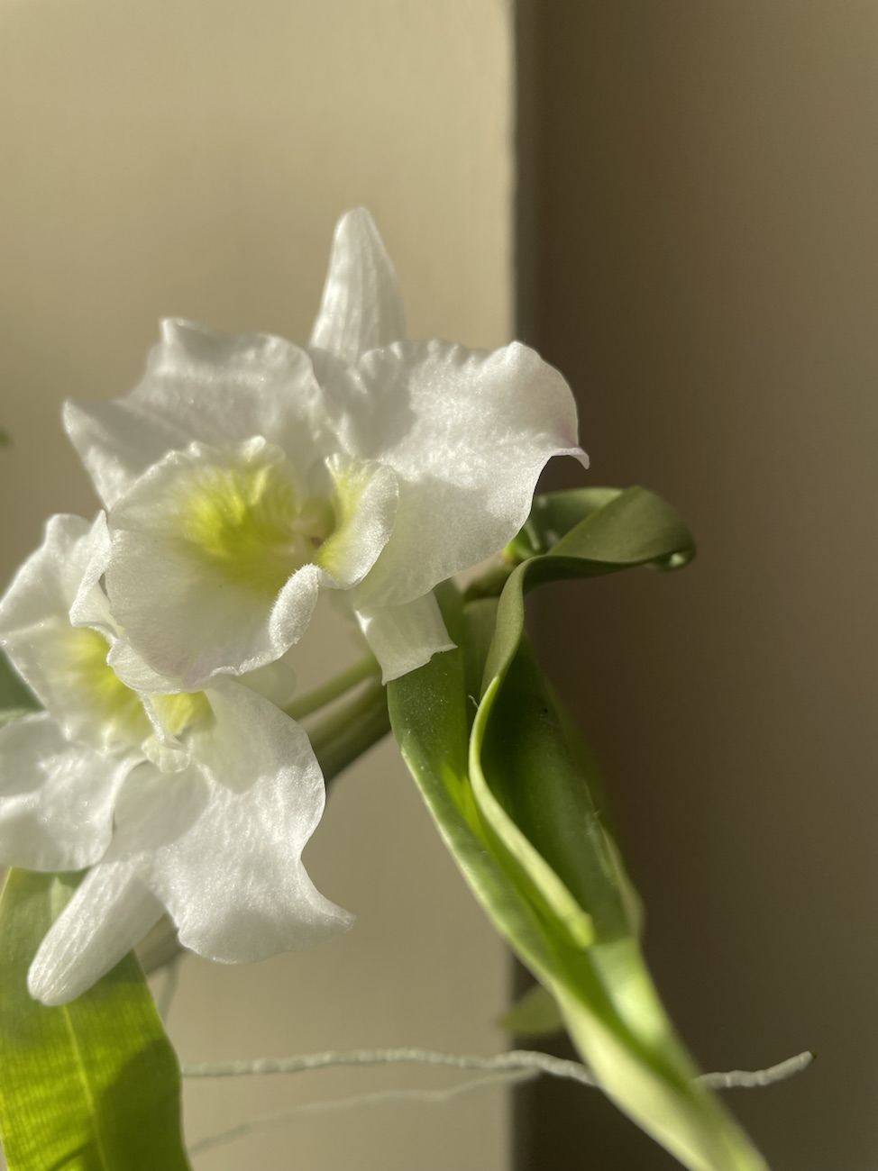 Because you break my&nbsp;❤️