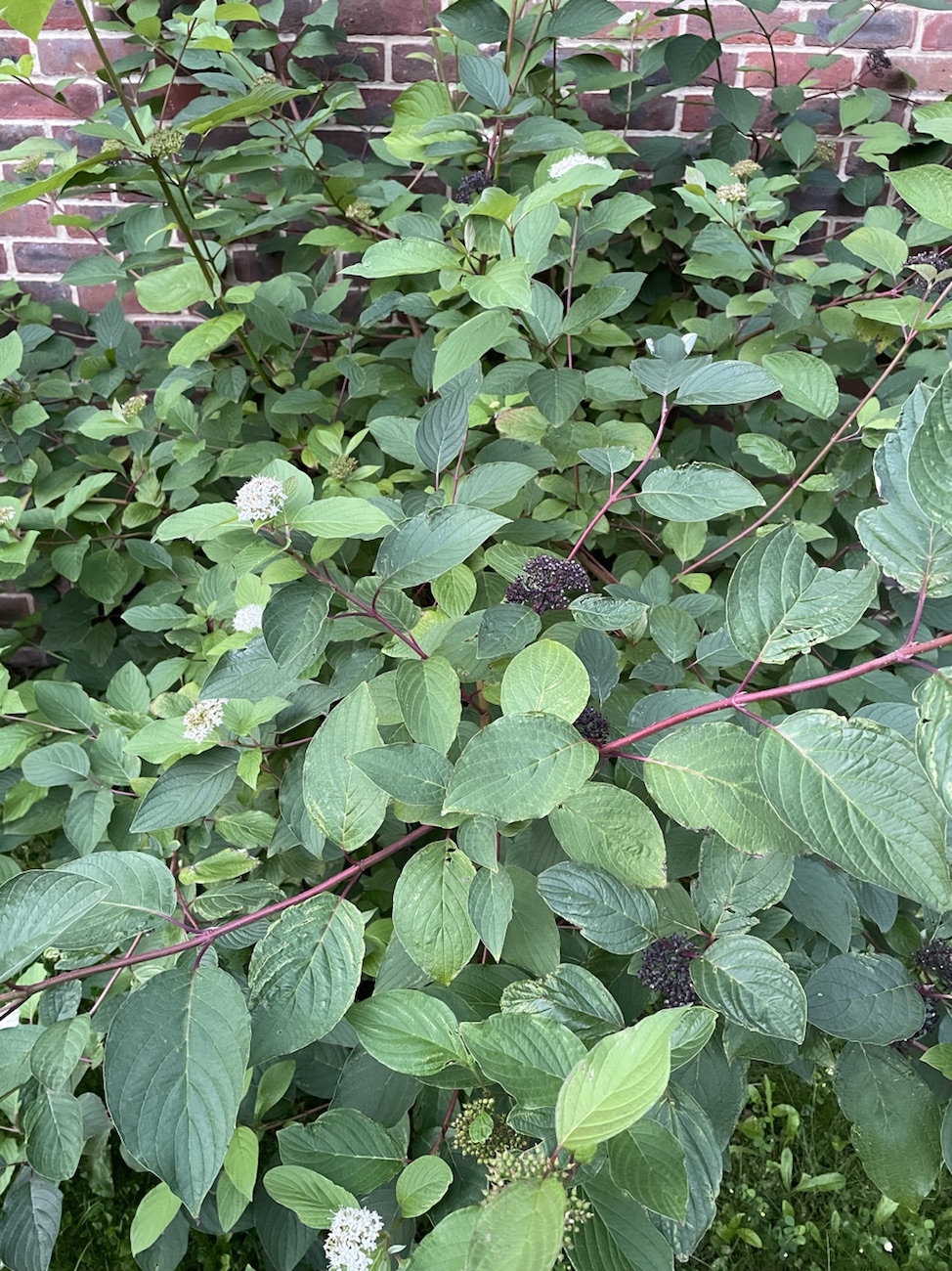 You are living in the cosmic&nbsp;spare: