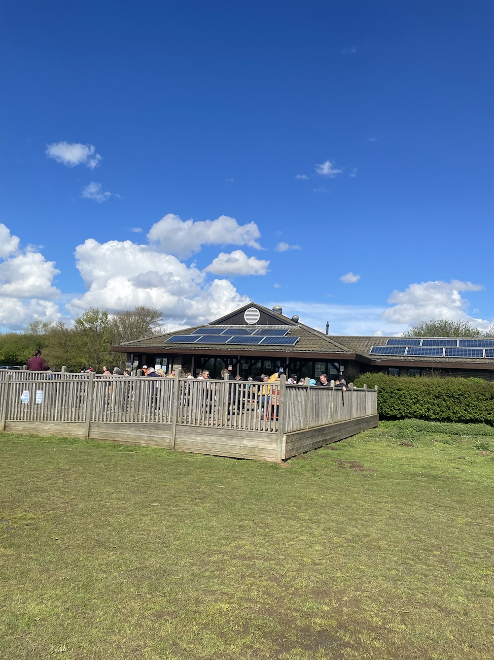 Emotional intelligence ￼