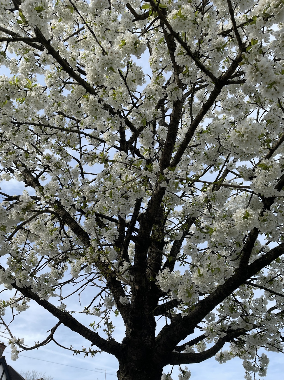 We built AI for efficiency&nbsp;￼