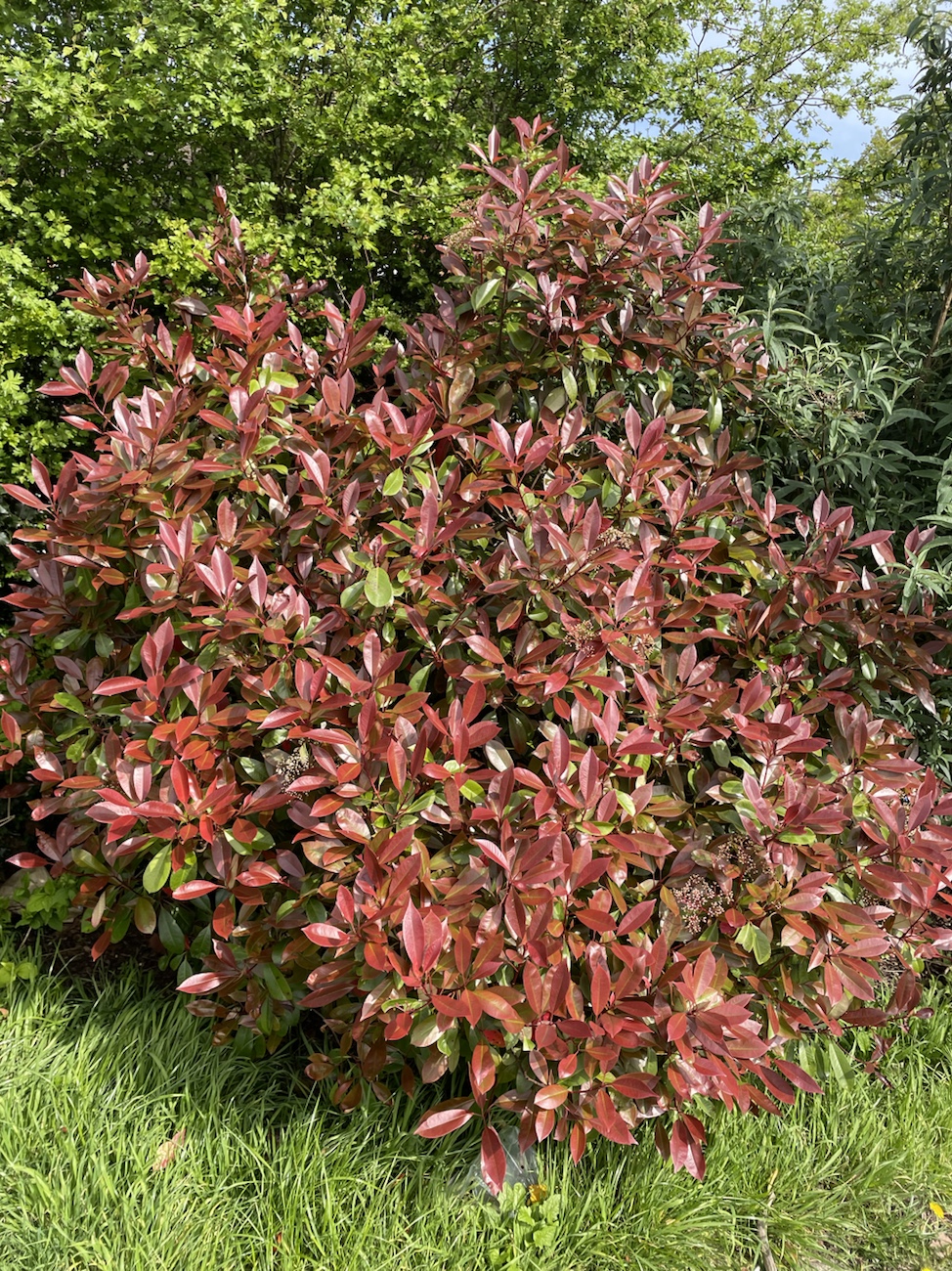 The Building Block of humanity conversation&nbsp;!￼